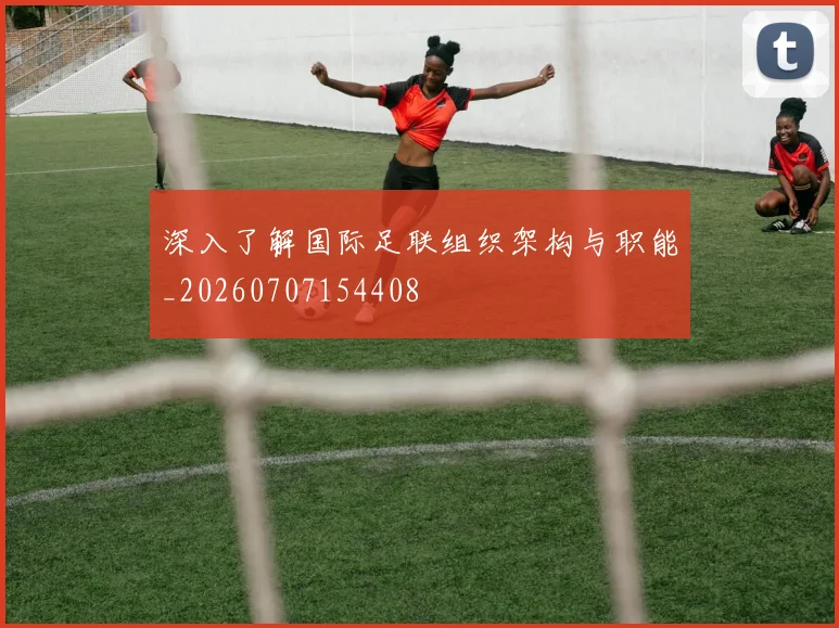深入了解国际足联组织架构与职能_20260707154408