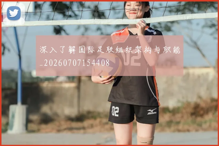 深入了解国际足联组织架构与职能_20260707154408